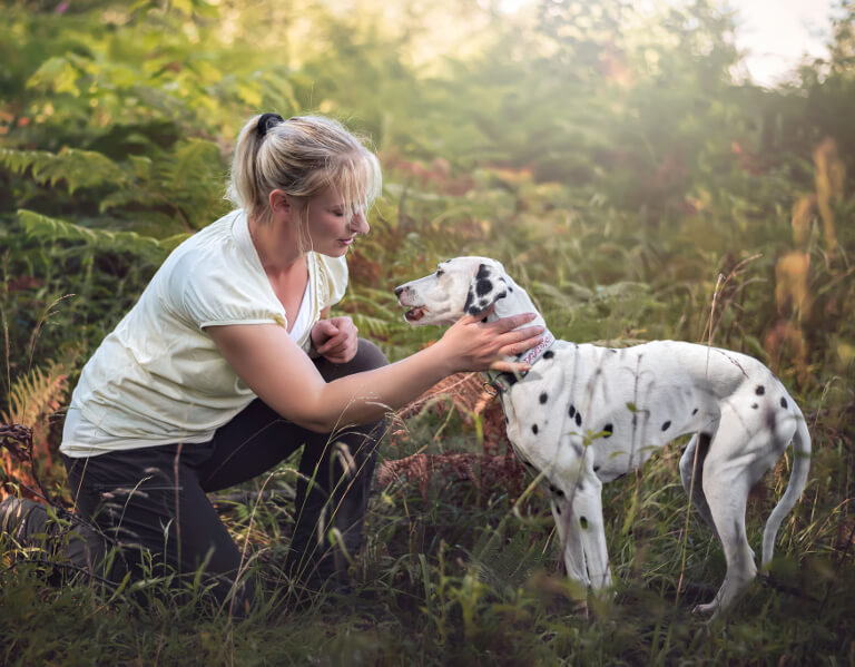 Hunde achten - Einzeltraining