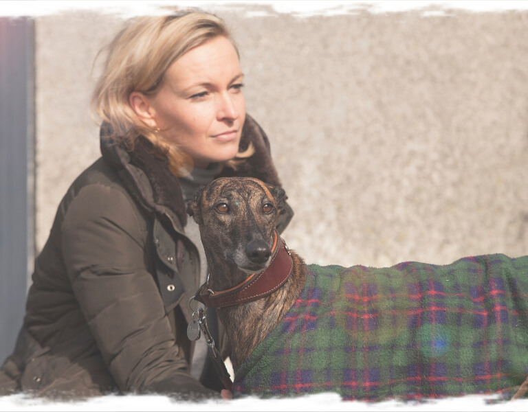 Hunde achten - Junghunde